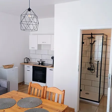 Apartment Pod Roza Ledzin