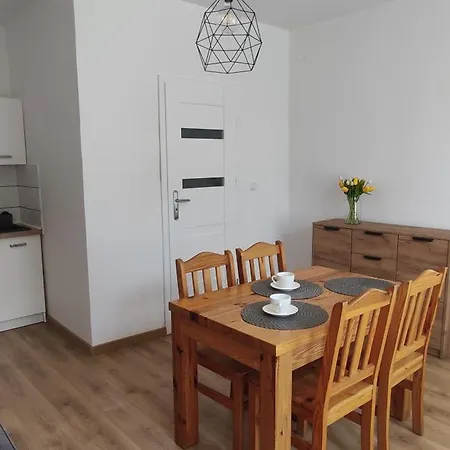 Apartment Pod Roza Ledzin