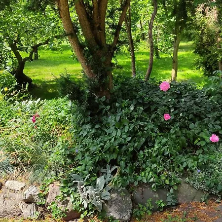 Pod Roza Appartement Ledzin