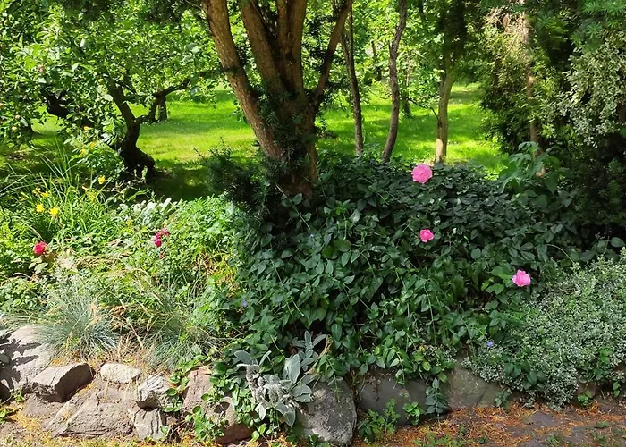 Pod Roza Διαμέρισμα Ledzin